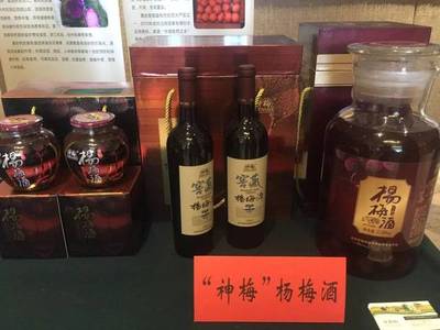 臺(tái)州市特色農(nóng)產(chǎn)品暨重點(diǎn)農(nóng)業(yè)招商項(xiàng)目推介會(huì)在南京召開