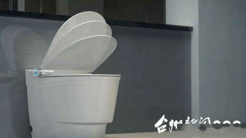 臺(tái)州 臺(tái)州 臺(tái)州,驚艷上海灘