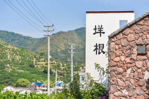 玉環(huán)有個垟根村